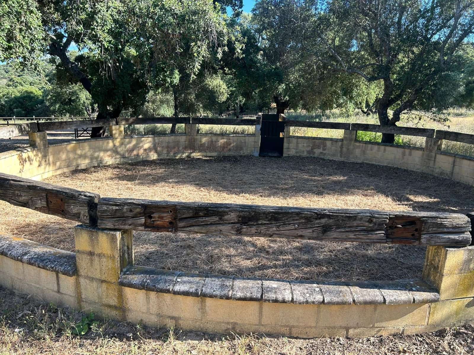 5 soveværelse Finca/Landehus til salg i Alcala de los Gazules - € 590.000 (Ref: 8348124)