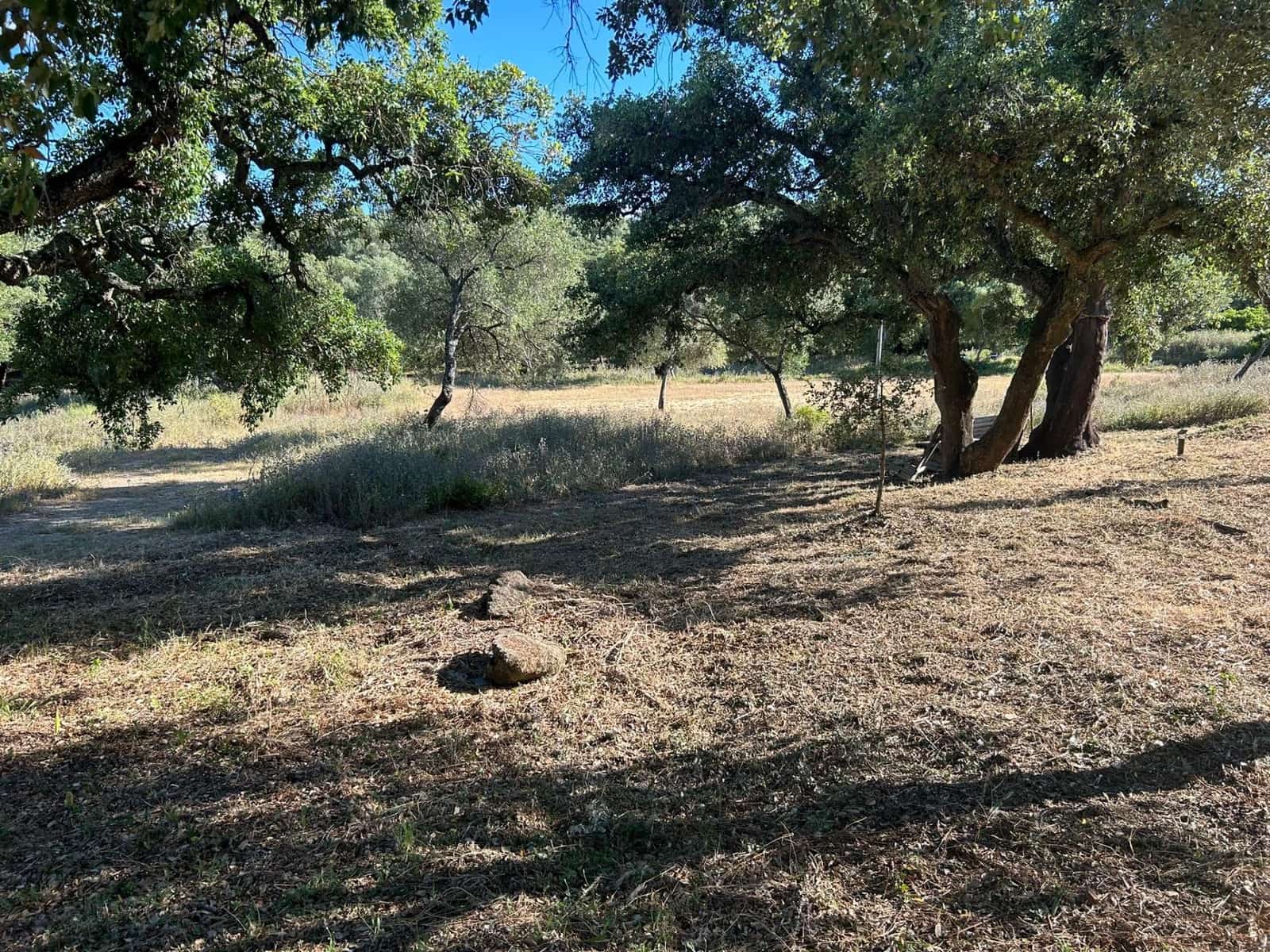 5 soveværelse Finca/Landehus til salg i Alcala de los Gazules - € 590.000 (Ref: 8348124)