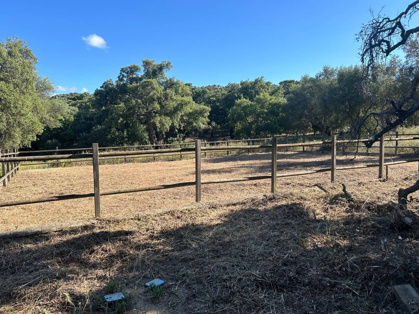 5 soveværelse Finca/Landehus til salg i Alcala de los Gazules - € 590.000 (Ref: 8348124)