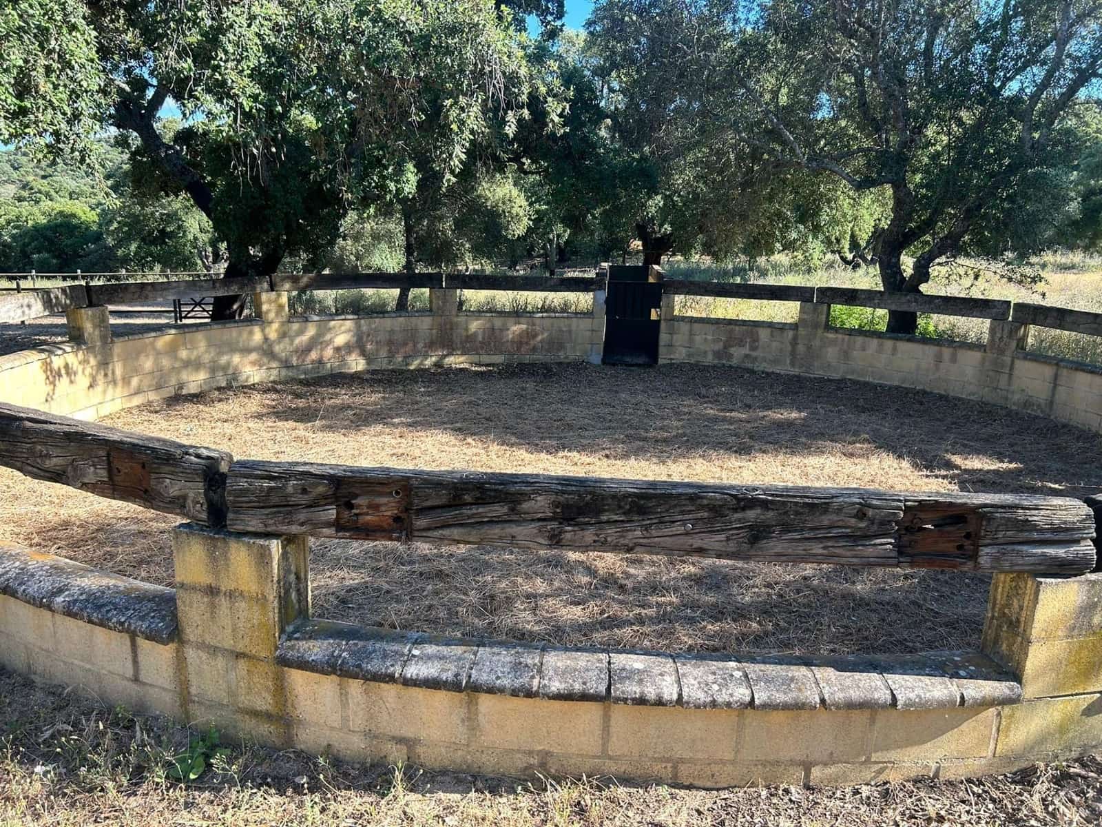 5 soveværelse Finca/Landehus til salg i Alcala de los Gazules - € 590.000 (Ref: 8348124)