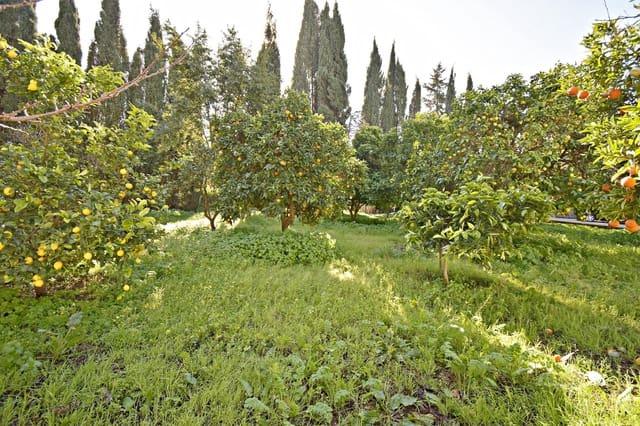 7 slaapkamer Finca/Landhuis te koop in Jerez de la Frontera met zwembad garage - € 650.000 (Ref: 8752583)