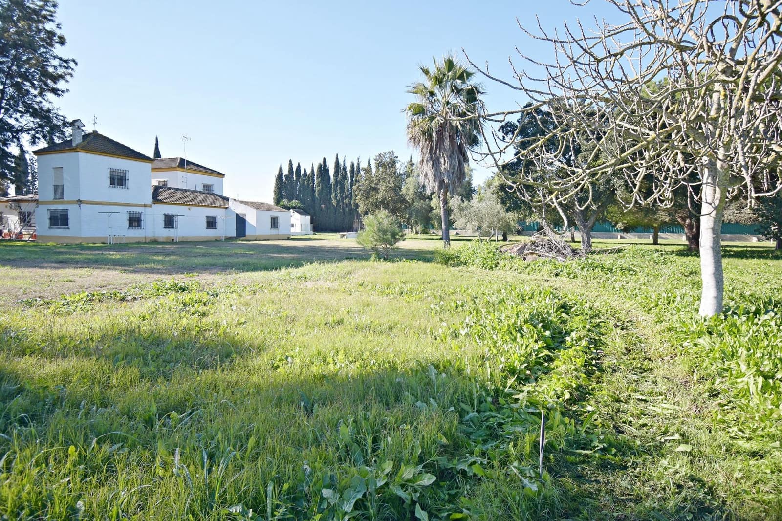 7 soveværelse Finca/Landehus til salg i Jerez de la Frontera med swimmingpool garage - € 650.000 (Ref: 8752583)