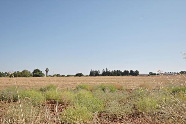 Bouwgrond te koop in Jerez de la Frontera - € 70.000 (Ref: 9160969)