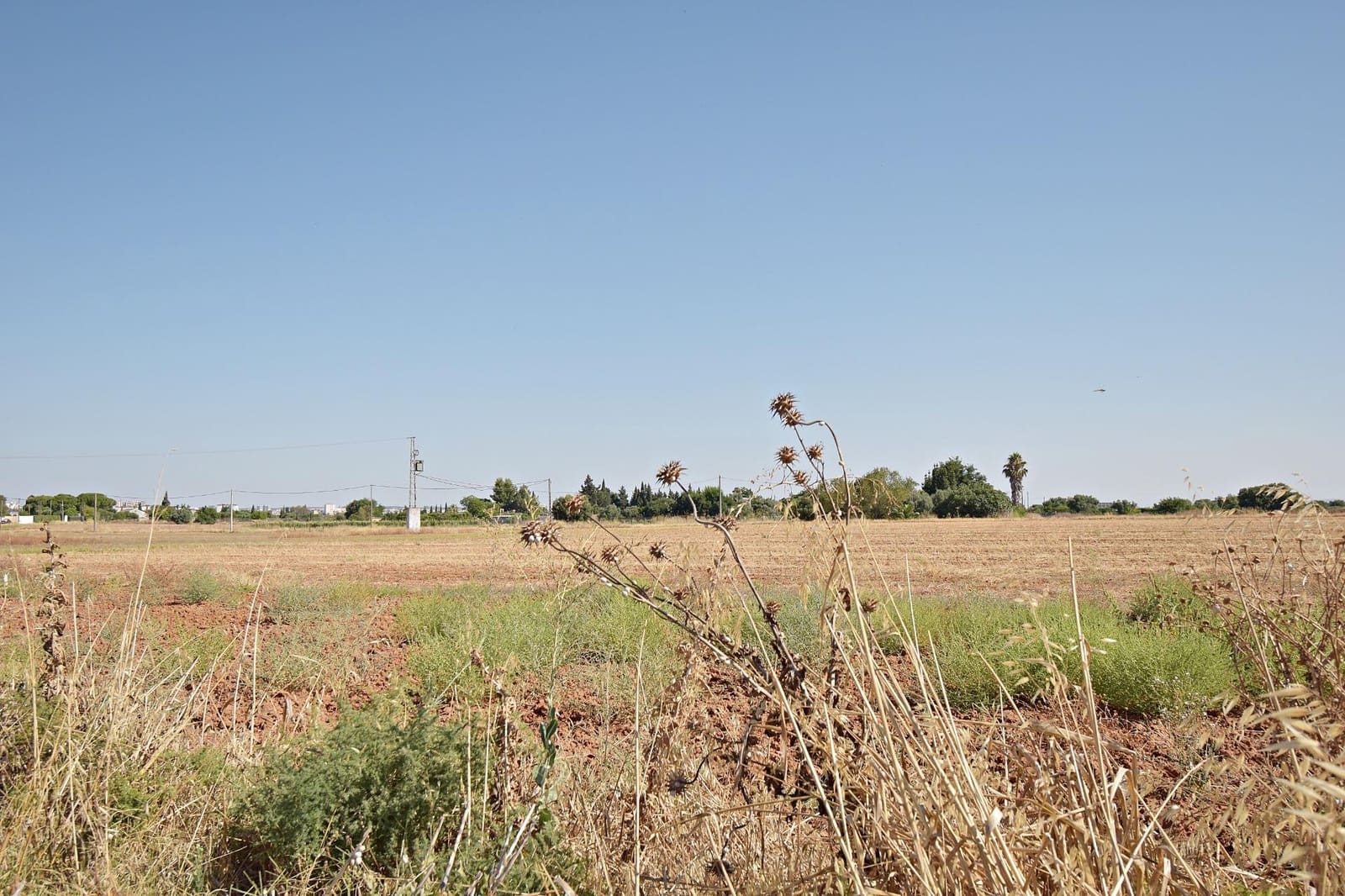 Tomt till salu i Jerez de la Frontera - 59 900 € (Ref: 9160969)