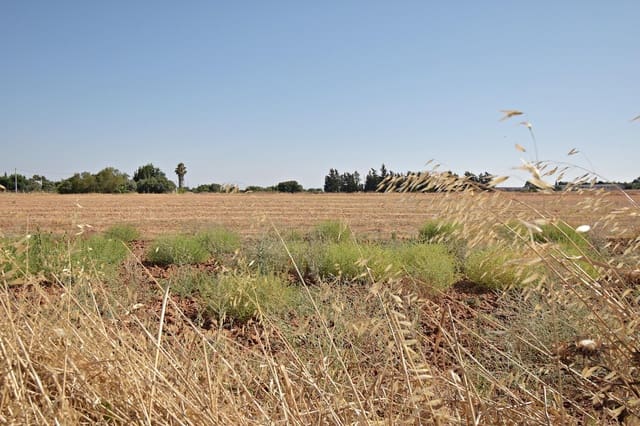 Bouwgrond te koop in Jerez de la Frontera - € 70.000 (Ref: 9160969)