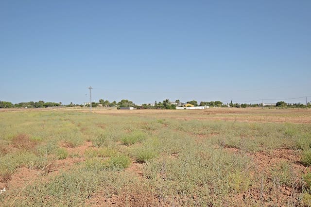 Bouwgrond te koop in Jerez de la Frontera - € 59.900 (Ref: 9160969)