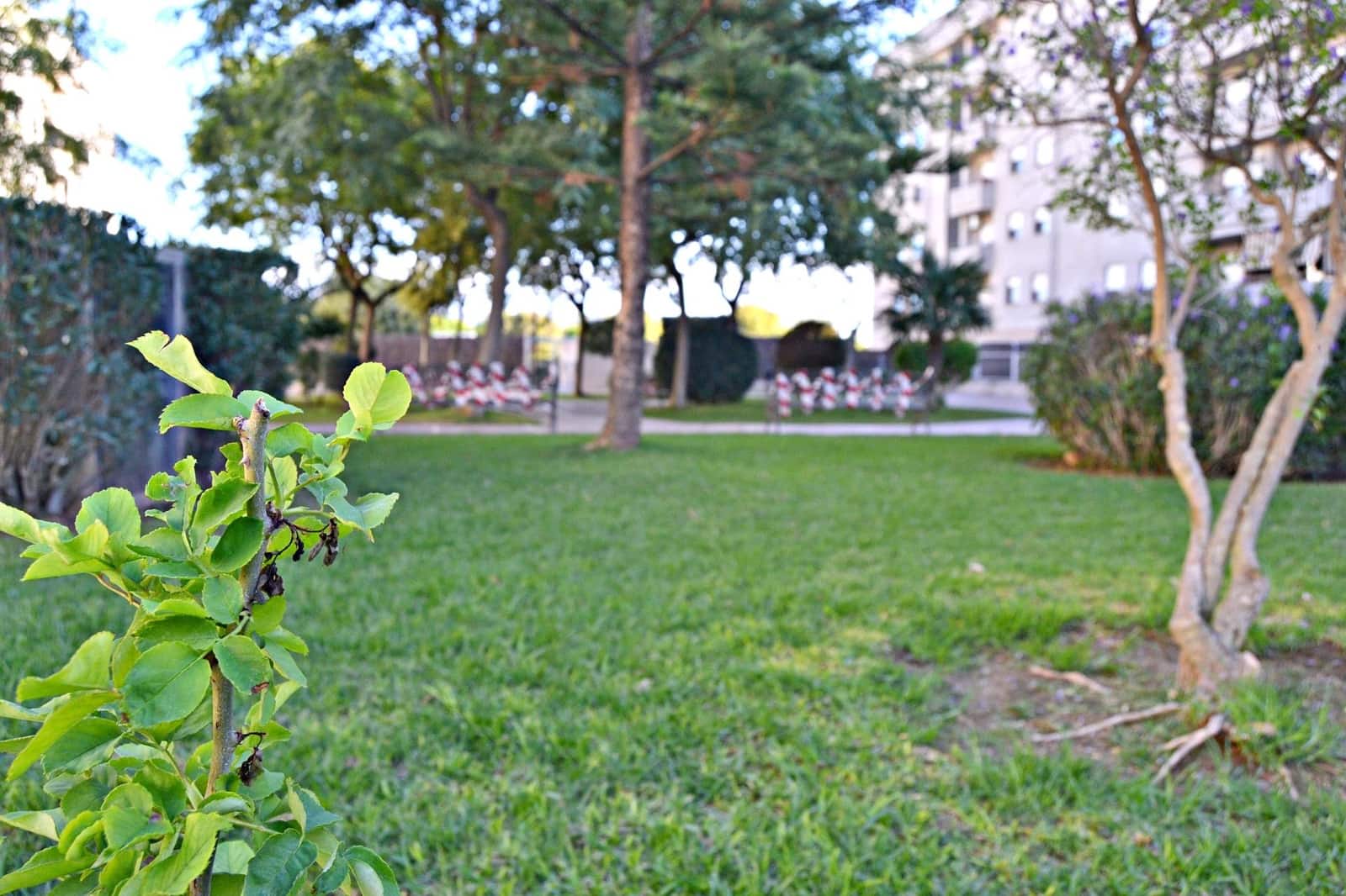 2 quarto Apartamento para venda em Jerez de la Frontera com piscina - 180 000 € (Ref: 9884807)