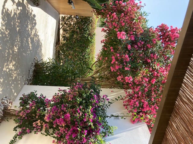 5 quarto Moradia para arrendar em Cala Gracio com piscina - 8 000 € (Ref: 9521120)