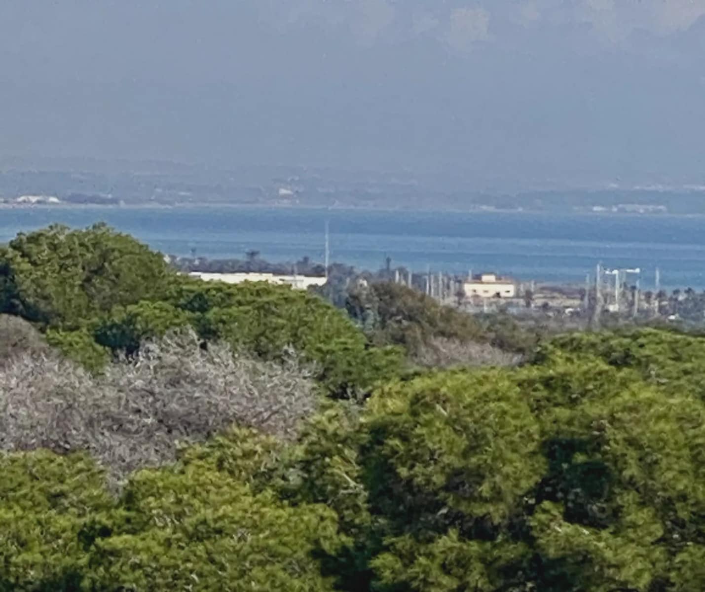 2 bedroom Beach Apartment for sale in Guardamar del Segura - € 349,000 (Ref: 10109707)