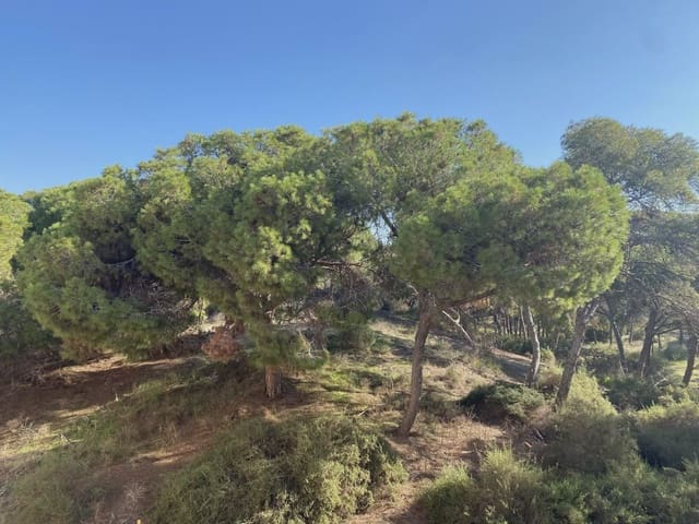 2 soveværelse Strandlejlighed til salg i Zona Pueblo, Guardamar del Segura - € 349.000 (Ref: 10109707)