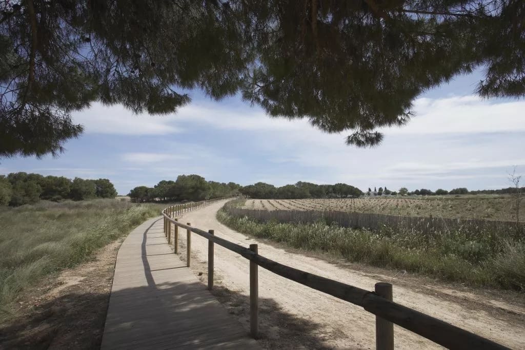 2 soveværelse Lejlighed til salg i Torrevieja med swimmingpool garage - € 270.900 (Ref: 9086892)