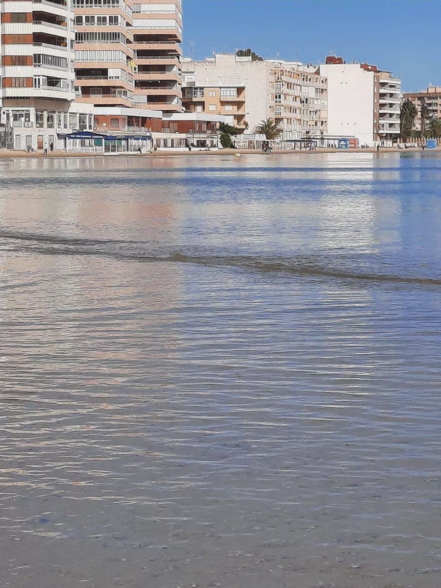 Apartamento Playa de 2 habitaciones en Torrevieja en venta - 149.850 € (Ref: 9908848)