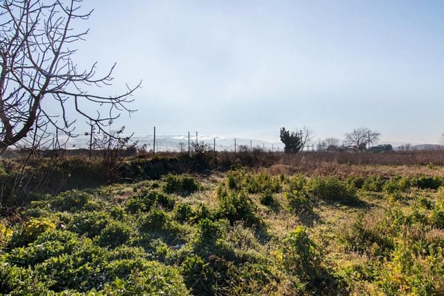 Finca/Landehus til salg i Pedanias de Granada, Granada by - € 56.000 (Ref: 9534162)