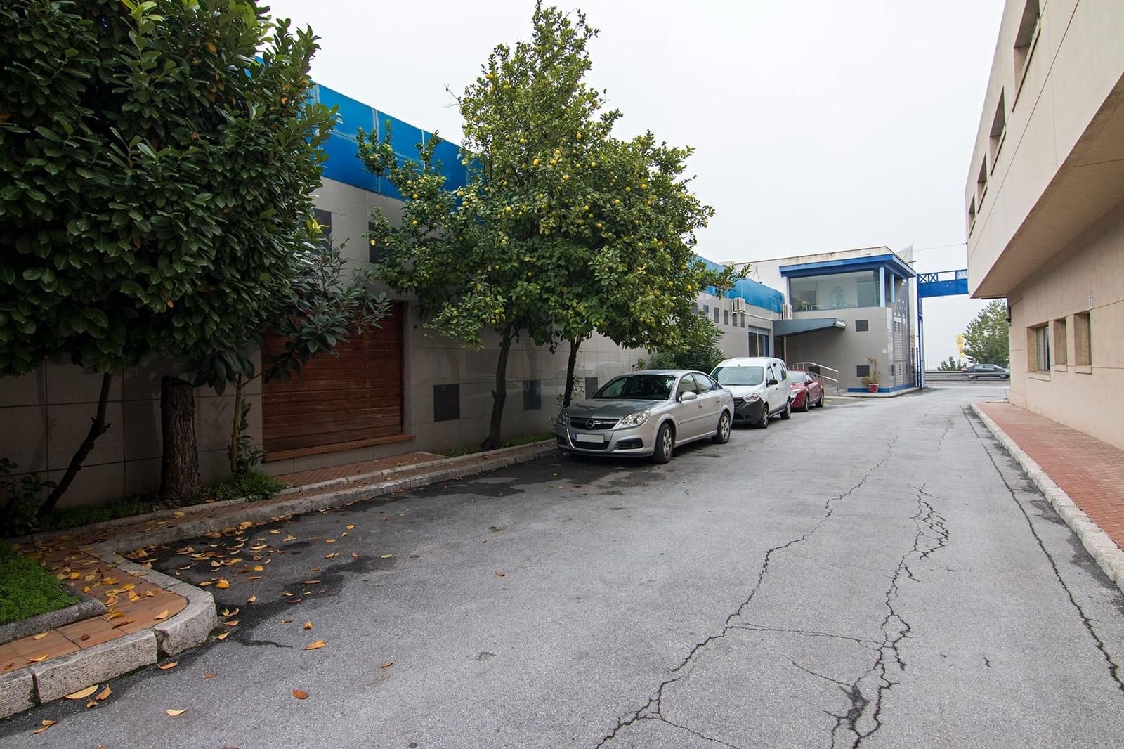 Commercial for sale in Pulianas - € 1,700,000 (Ref: 9534166)