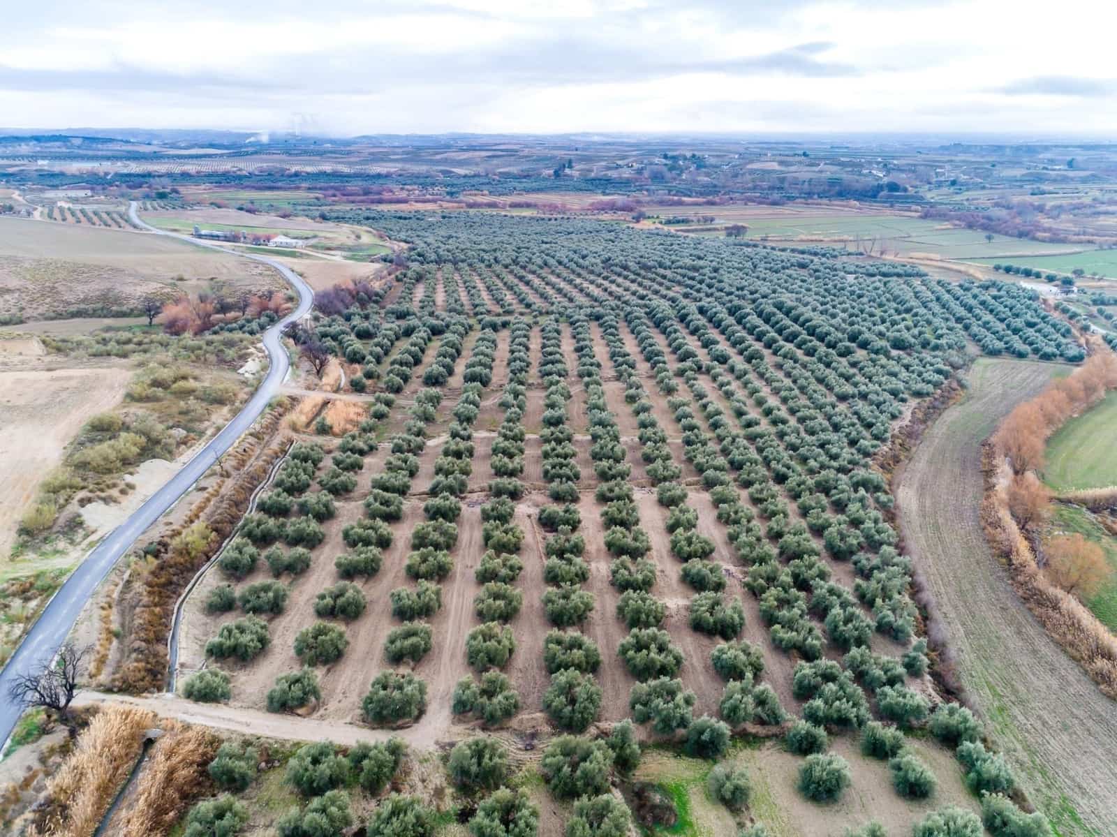 5 soveværelse Finca/Landehus til salg i Baza - € 141.900 (Ref: 9534170)