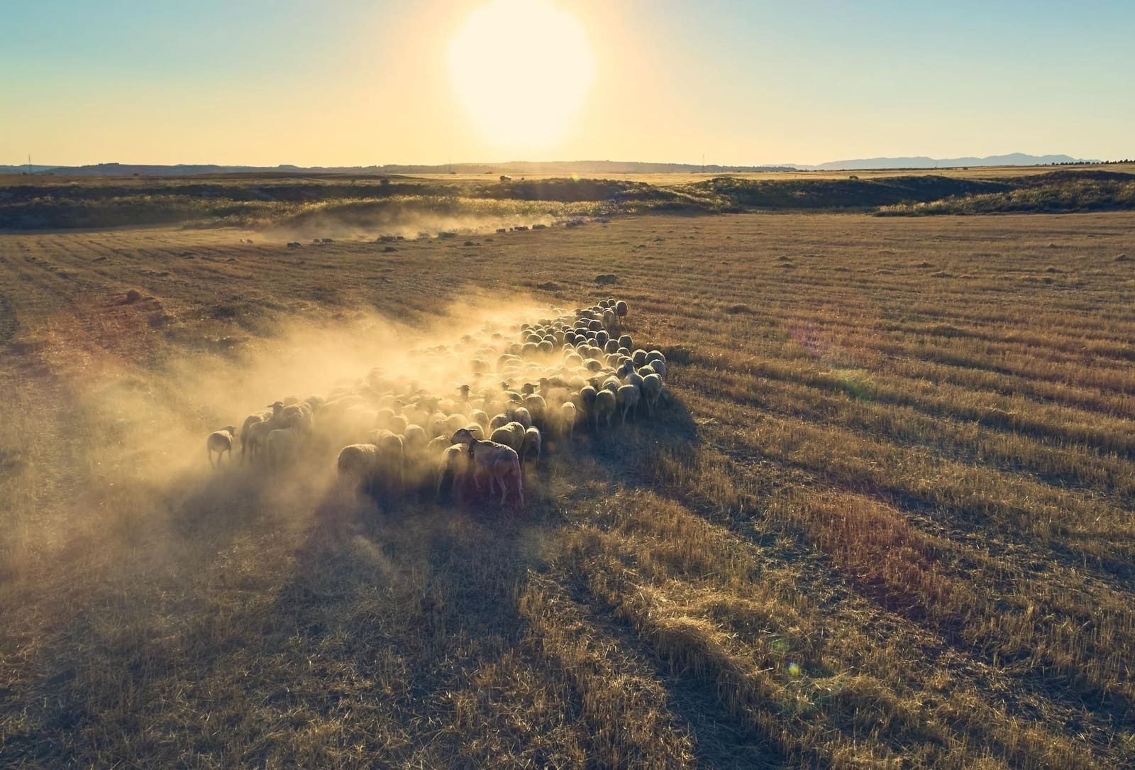 5 soveværelse Finca/Landehus til salg i Baza - € 141.900 (Ref: 9534170)