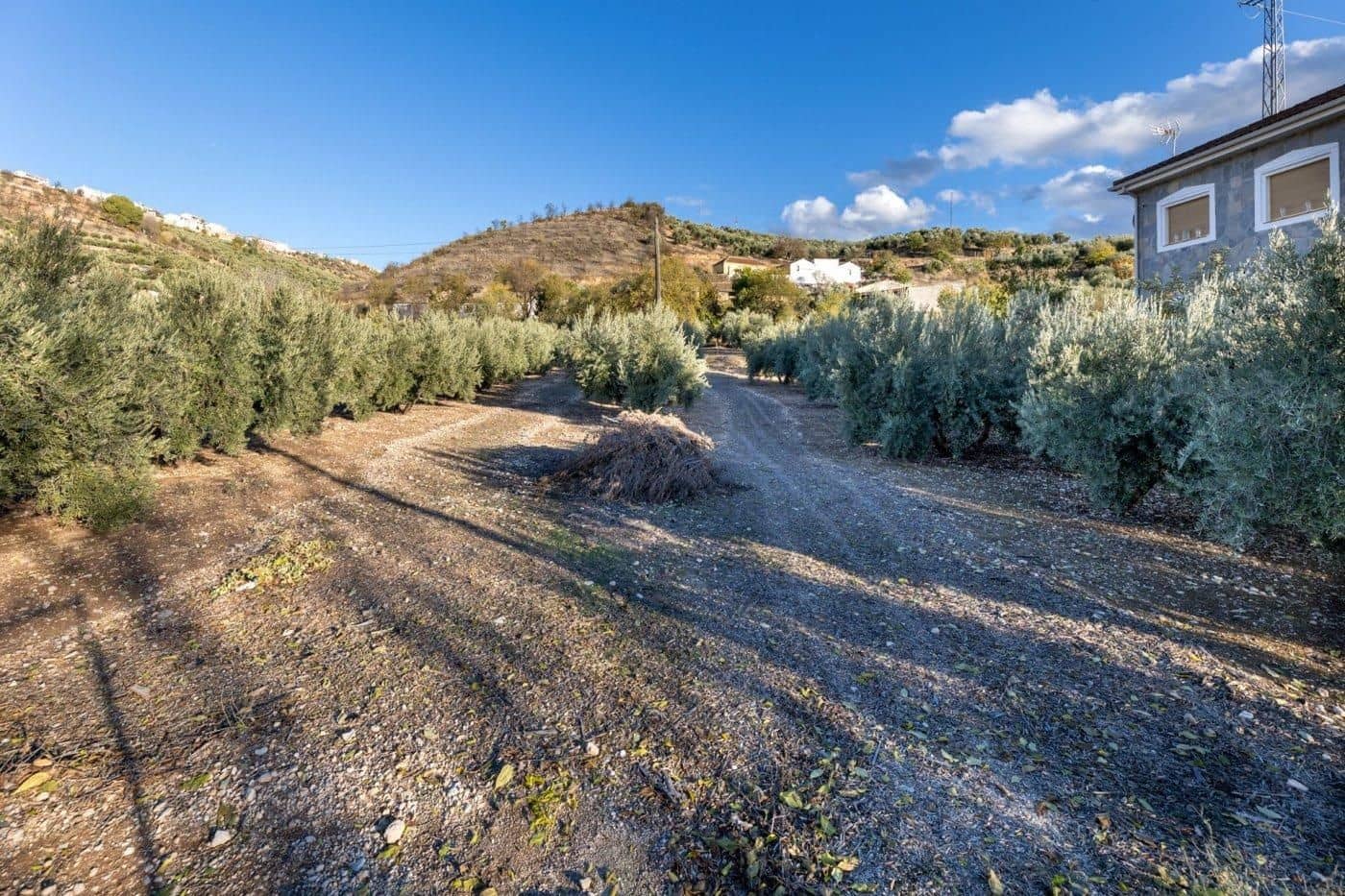 Bauplatz zu verkaufen in Iznalloz - 65.000 € (Ref: 9534179)