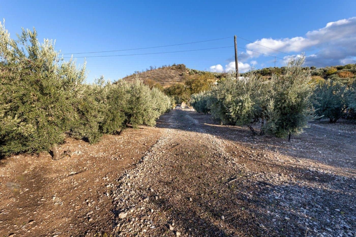 Bauplatz zu verkaufen in Iznalloz - 65.000 € (Ref: 9534179)