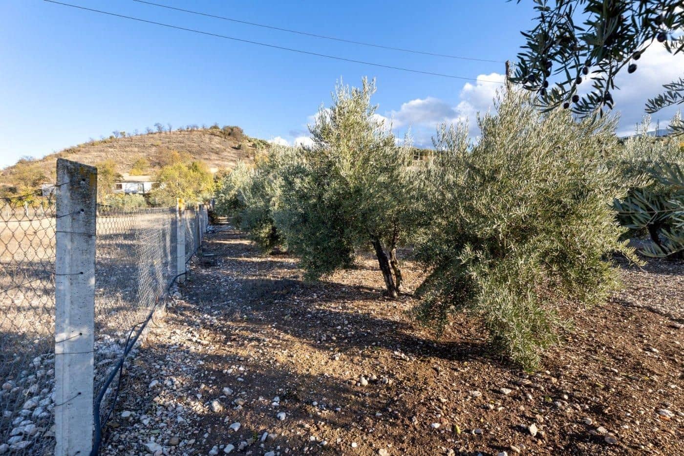 Bauplatz zu verkaufen in Iznalloz - 65.000 € (Ref: 9534179)