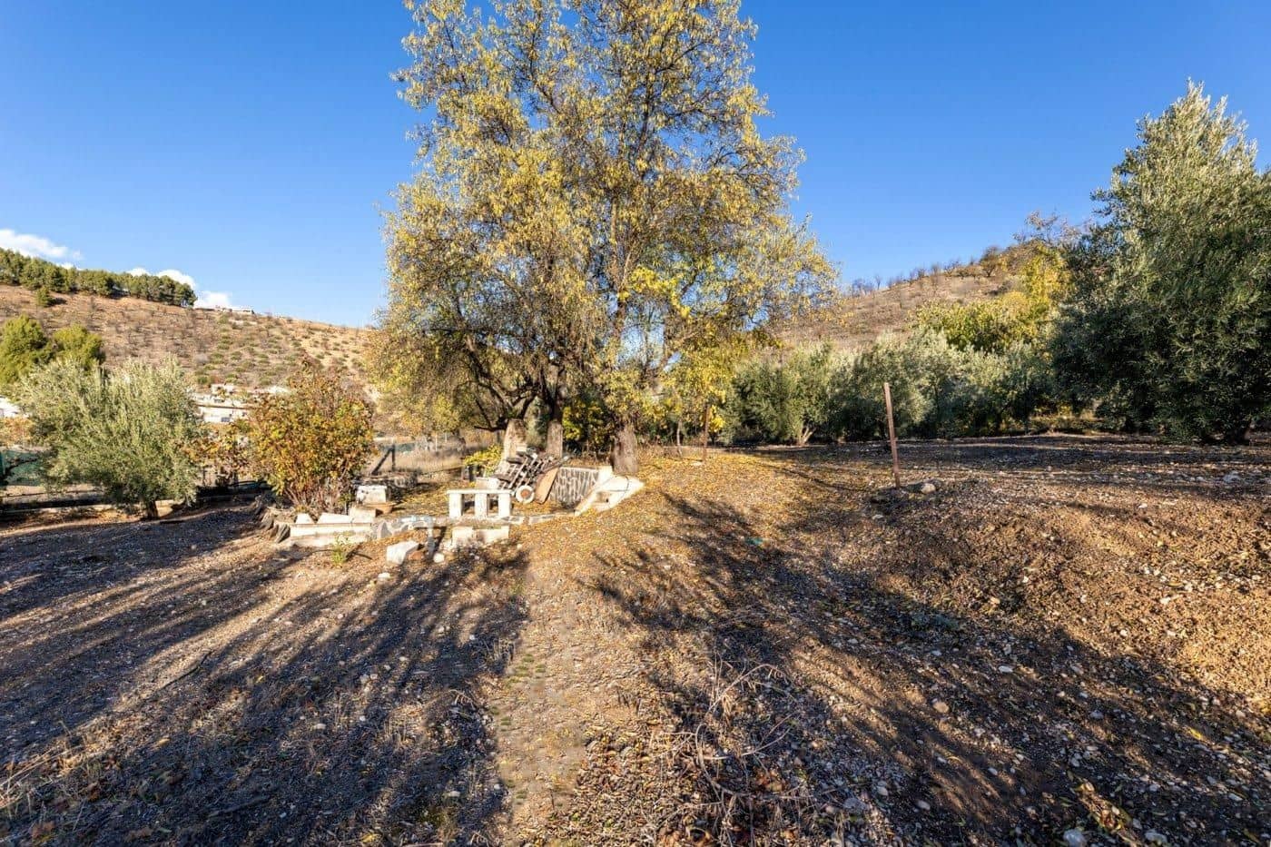 Bauplatz zu verkaufen in Iznalloz - 65.000 € (Ref: 9534179)