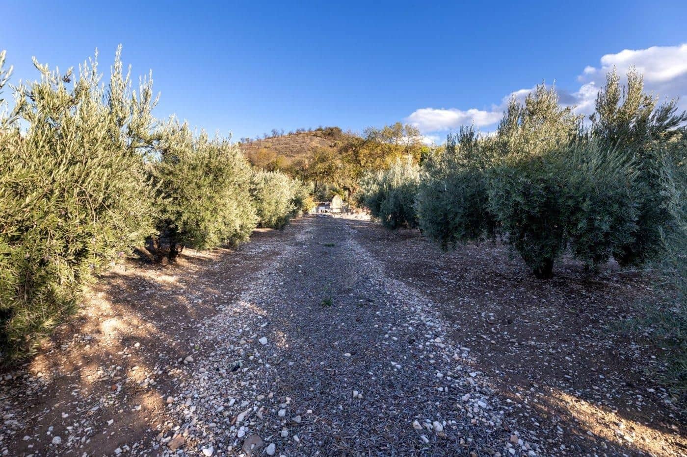 Bauplatz zu verkaufen in Iznalloz - 65.000 € (Ref: 9534179)