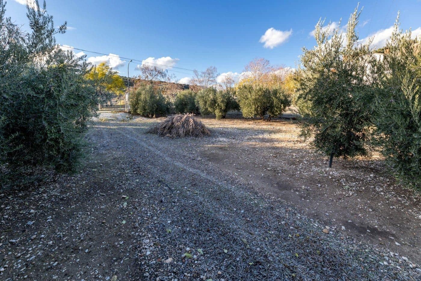 Bauplatz zu verkaufen in Iznalloz - 65.000 € (Ref: 9534179)