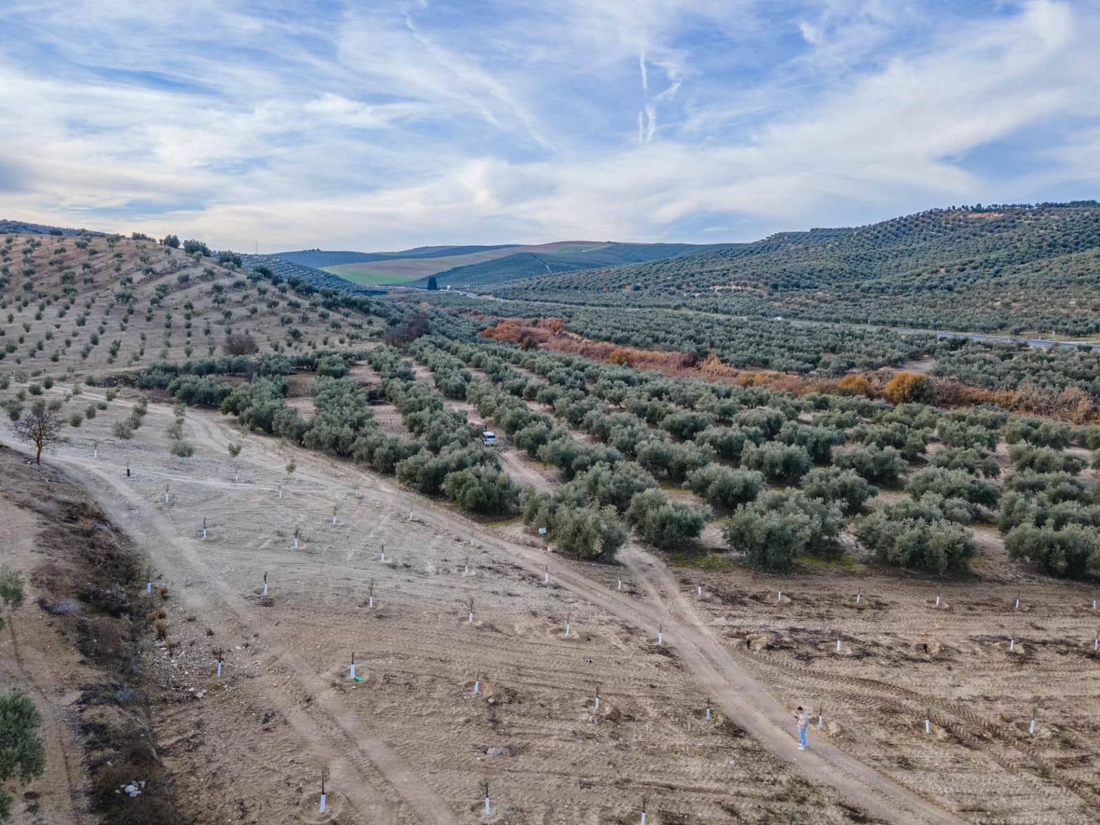 Działka budowlana na sprzedaż w Vegas del Genil - 95 000 € (Ref: 9534180)