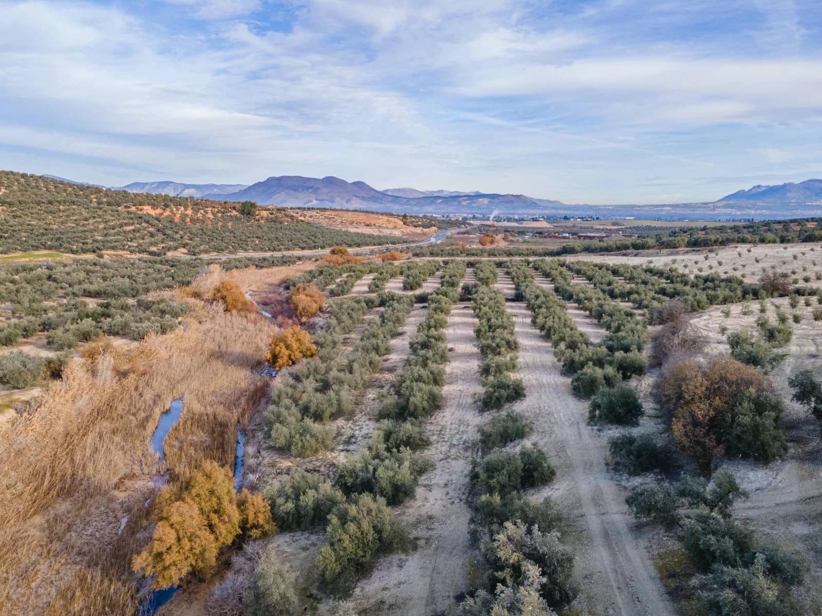 Działka budowlana na sprzedaż w Vegas del Genil - 95 000 € (Ref: 9534180)