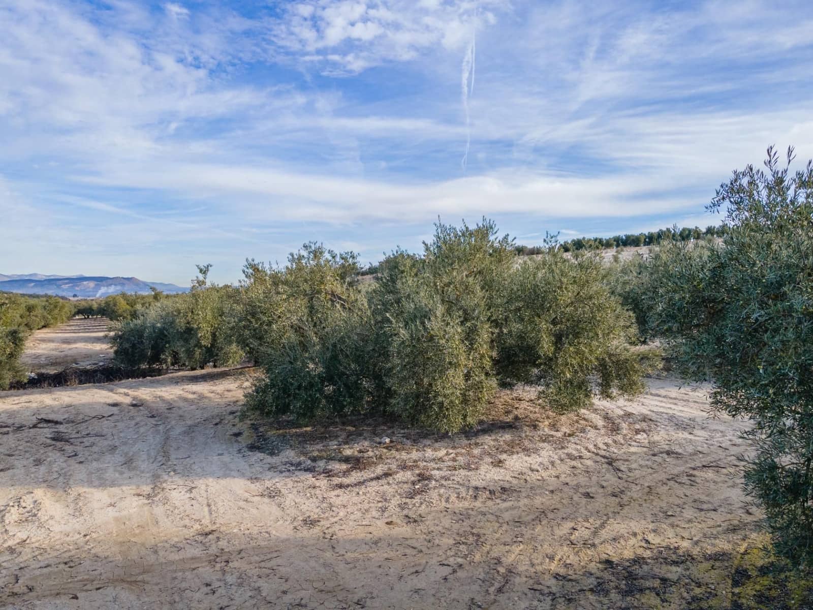 Działka budowlana na sprzedaż w Vegas del Genil - 95 000 € (Ref: 9534180)