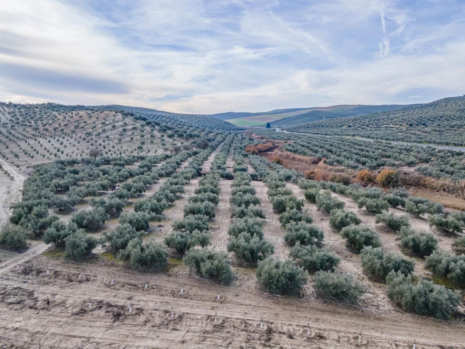 Działka budowlana na sprzedaż w Vegas del Genil - 95 000 € (Ref: 9534180)