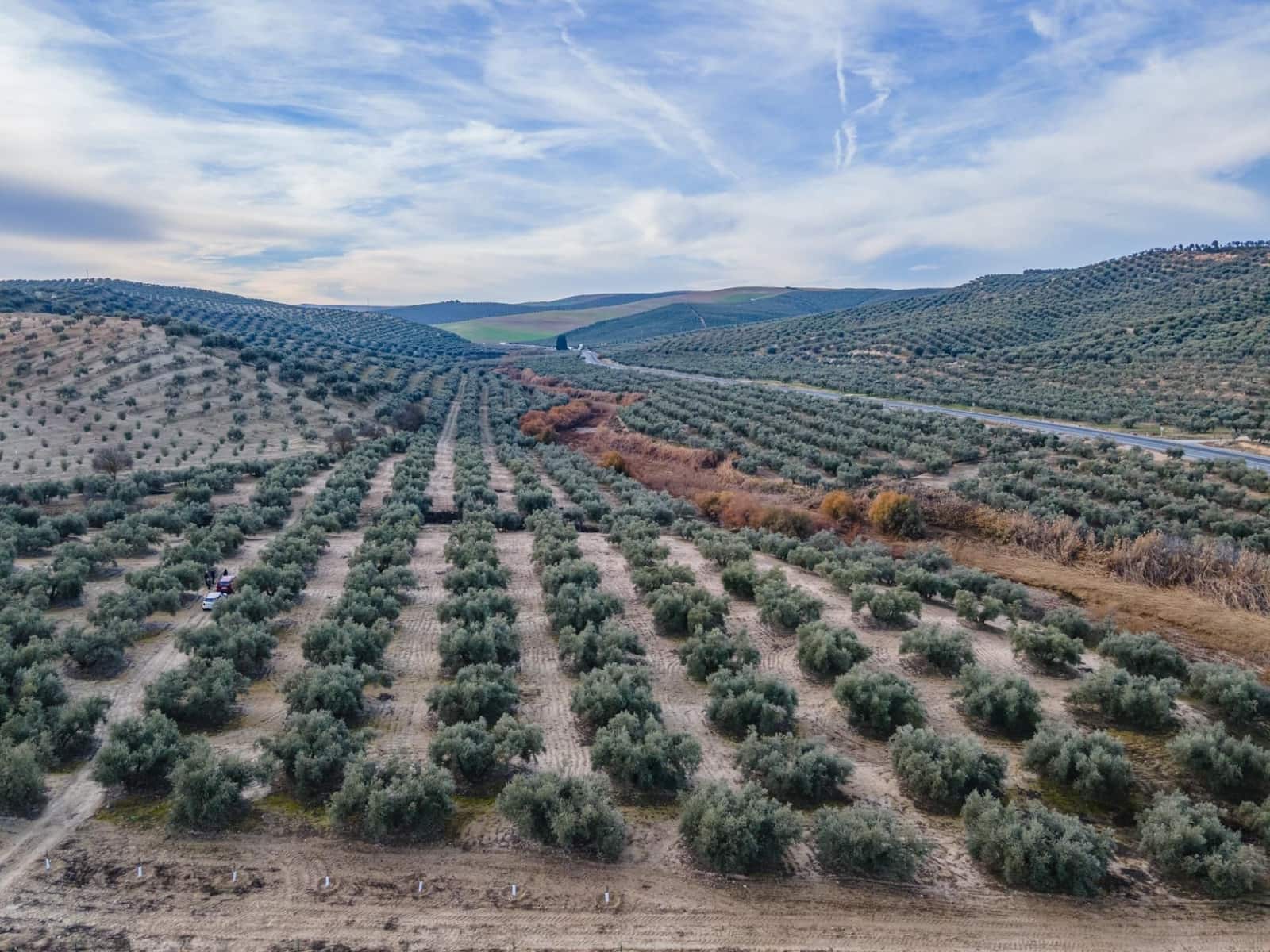 Działka budowlana na sprzedaż w Vegas del Genil - 95 000 € (Ref: 9534180)