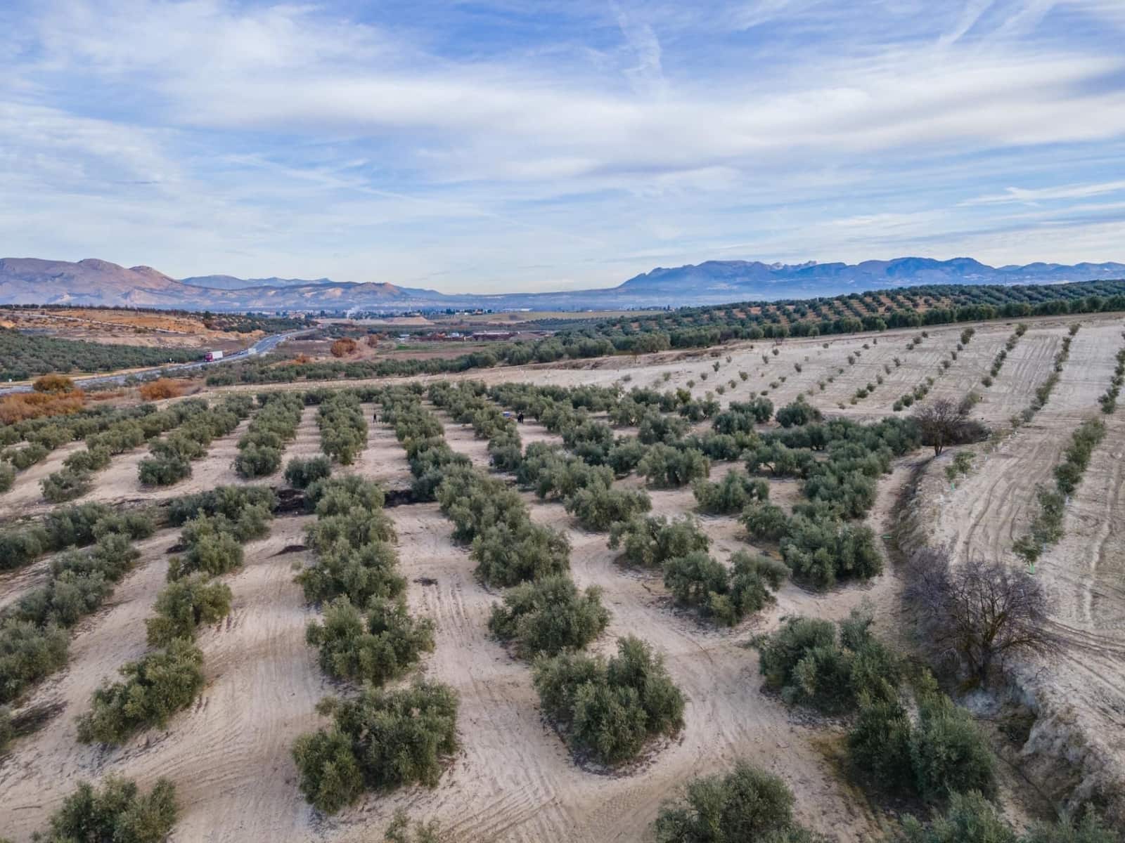 Działka budowlana na sprzedaż w Vegas del Genil - 95 000 € (Ref: 9534180)