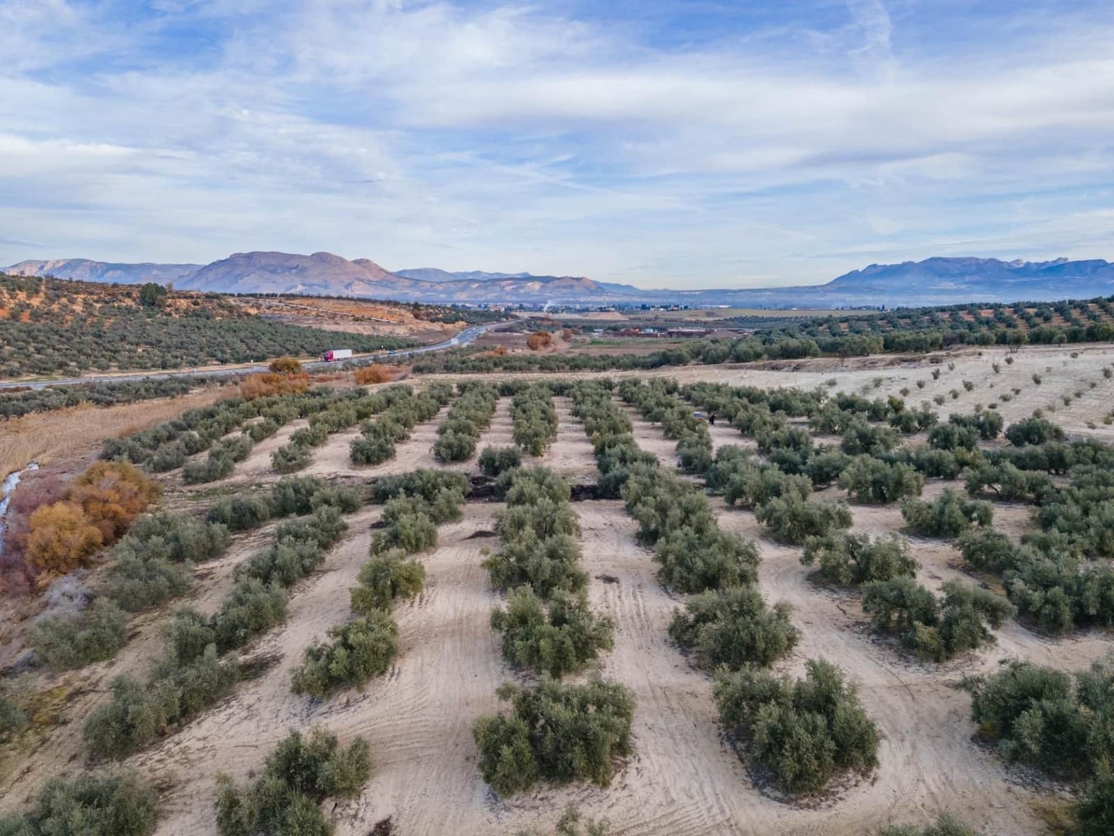 Działka budowlana na sprzedaż w Vegas del Genil - 95 000 € (Ref: 9534180)