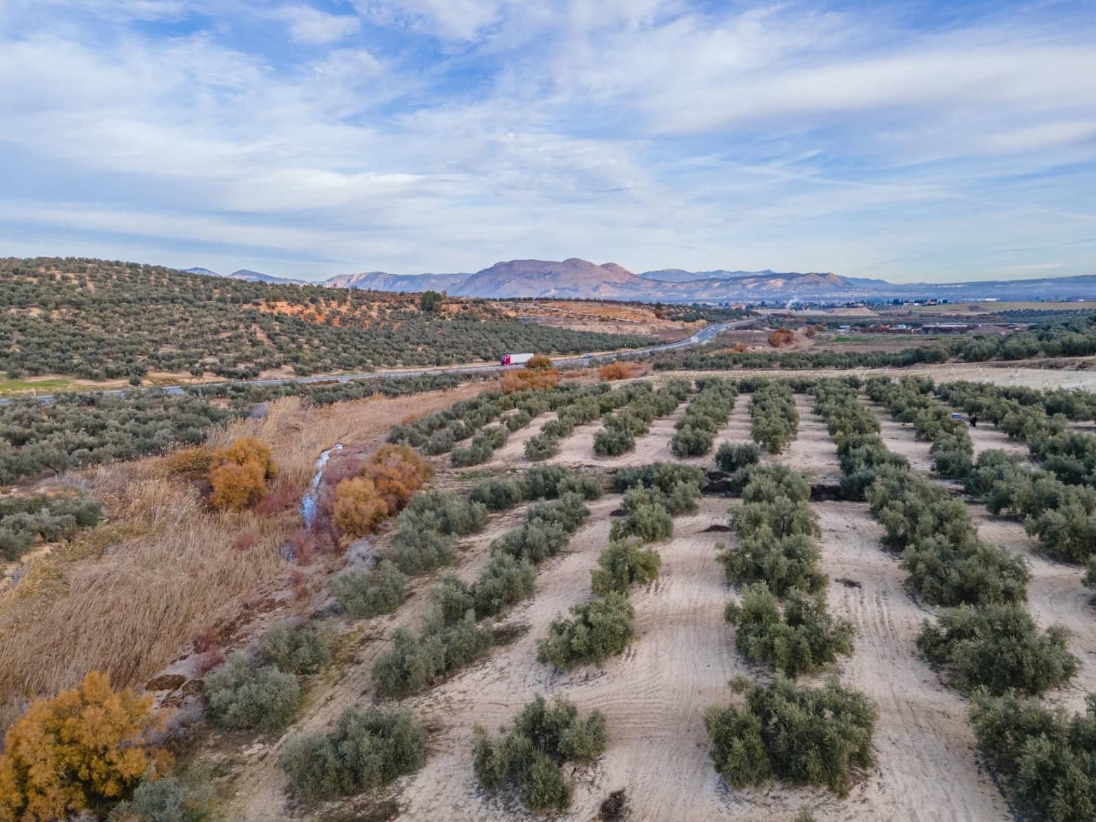 Działka budowlana na sprzedaż w Vegas del Genil - 95 000 € (Ref: 9534180)