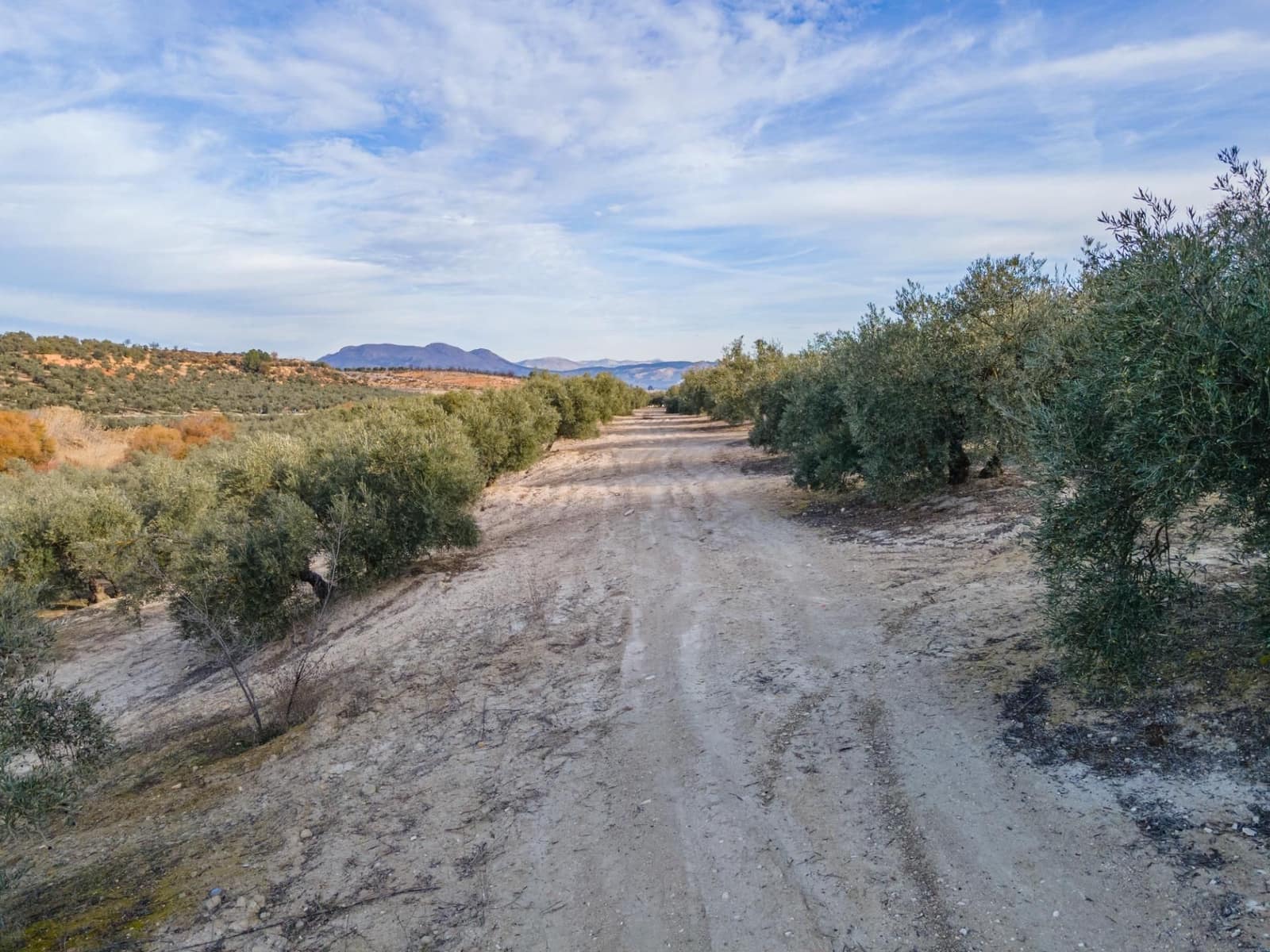 Działka budowlana na sprzedaż w Vegas del Genil - 95 000 € (Ref: 9534180)