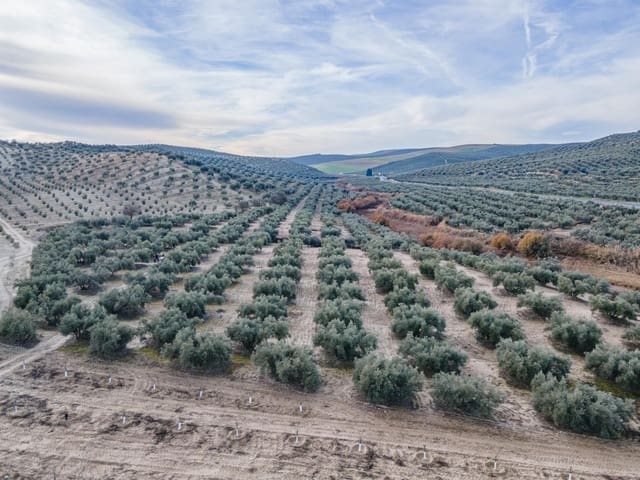 Działka budowlana na sprzedaż w Vegas del Genil - 95 000 € (Ref: 9534180)