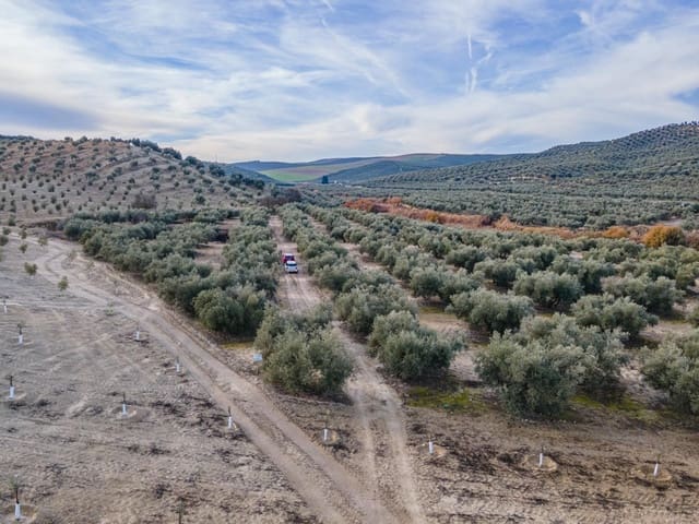 Działka budowlana na sprzedaż w Vegas del Genil - 95 000 € (Ref: 9534180)