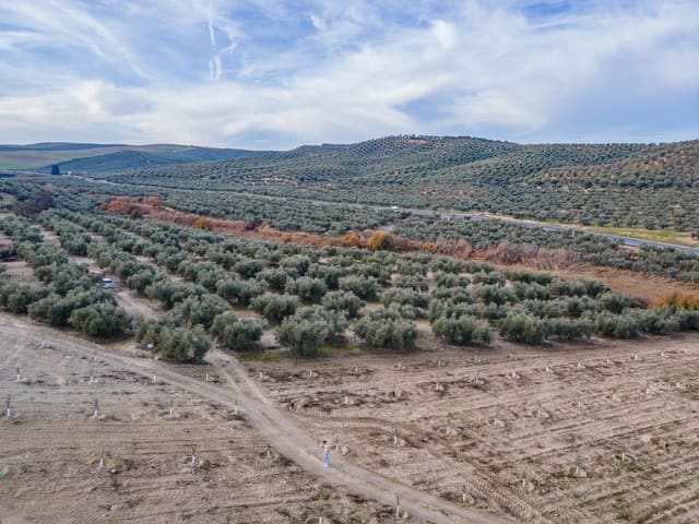 Działka budowlana na sprzedaż w Vegas del Genil - 95 000 € (Ref: 9534180)