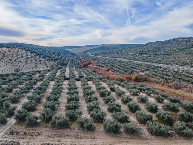 Działka budowlana na sprzedaż w Vegas del Genil - 95 000 € (Ref: 9534180)