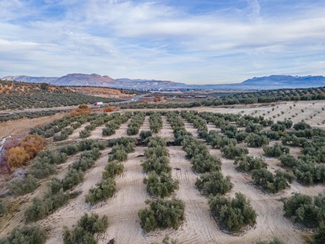 Działka budowlana na sprzedaż w Vegas del Genil - 95 000 € (Ref: 9534180)