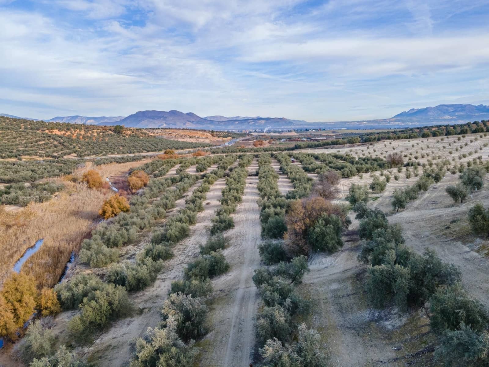 Działka budowlana na sprzedaż w Vegas del Genil - 95 000 € (Ref: 9534180)