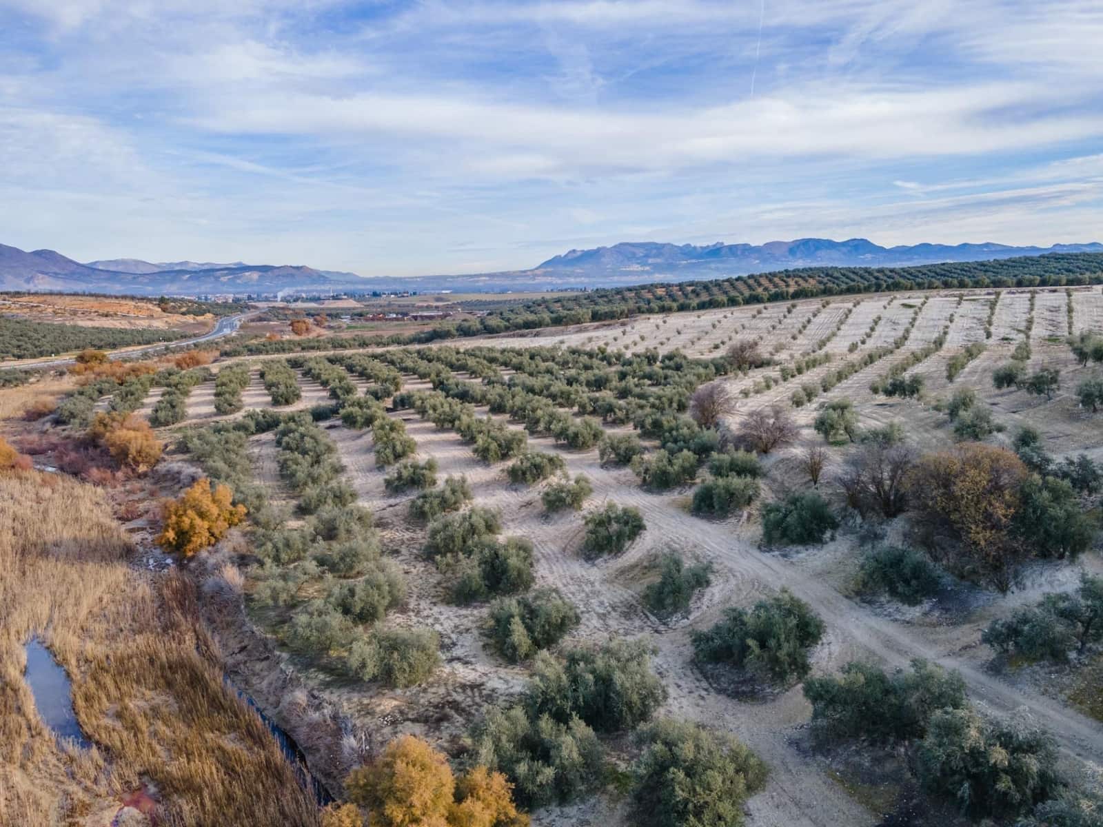 Działka budowlana na sprzedaż w Vegas del Genil - 95 000 € (Ref: 9534180)