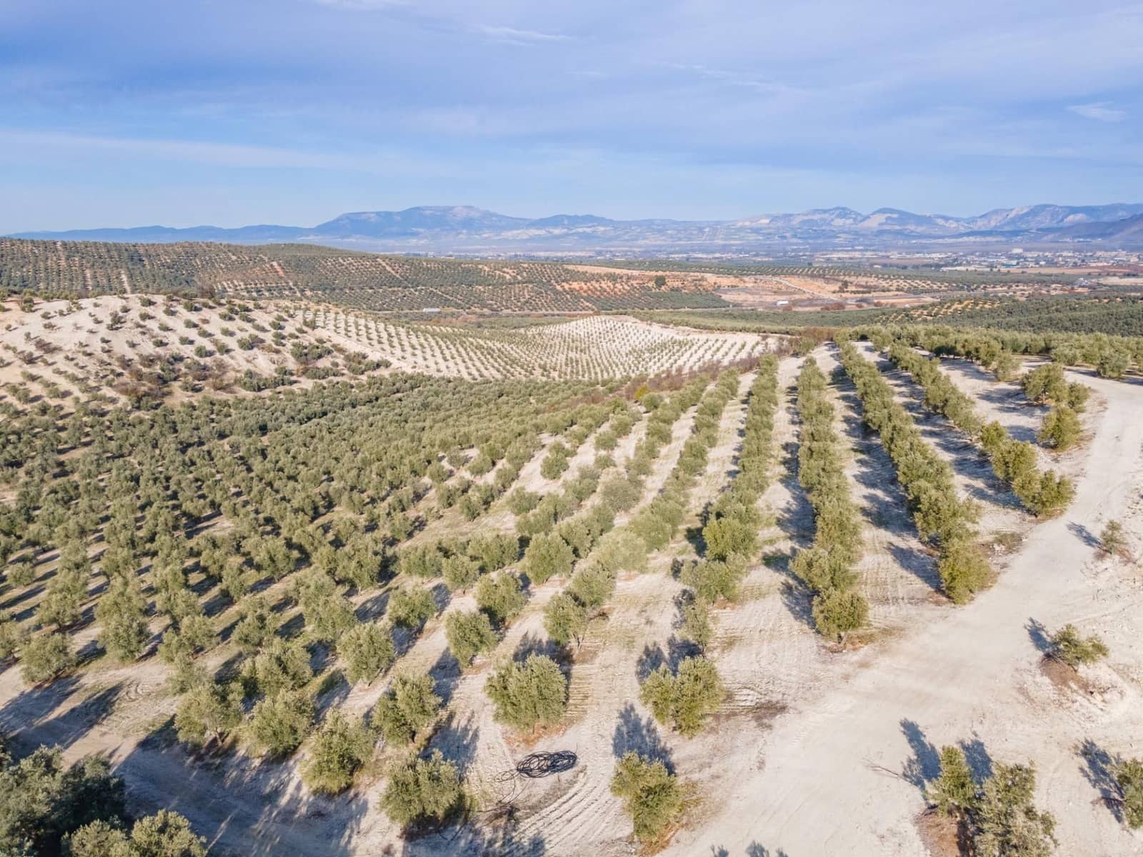 Działka budowlana na sprzedaż w Vegas del Genil - 95 000 € (Ref: 9534180)