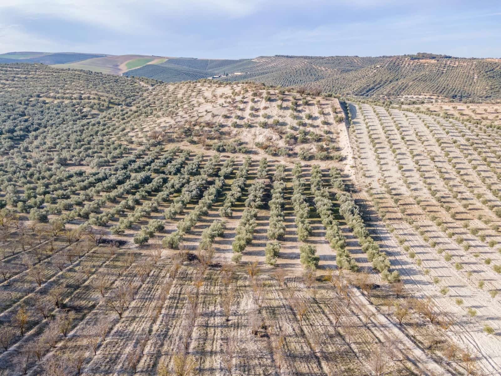 Działka budowlana na sprzedaż w Vegas del Genil - 95 000 € (Ref: 9534180)