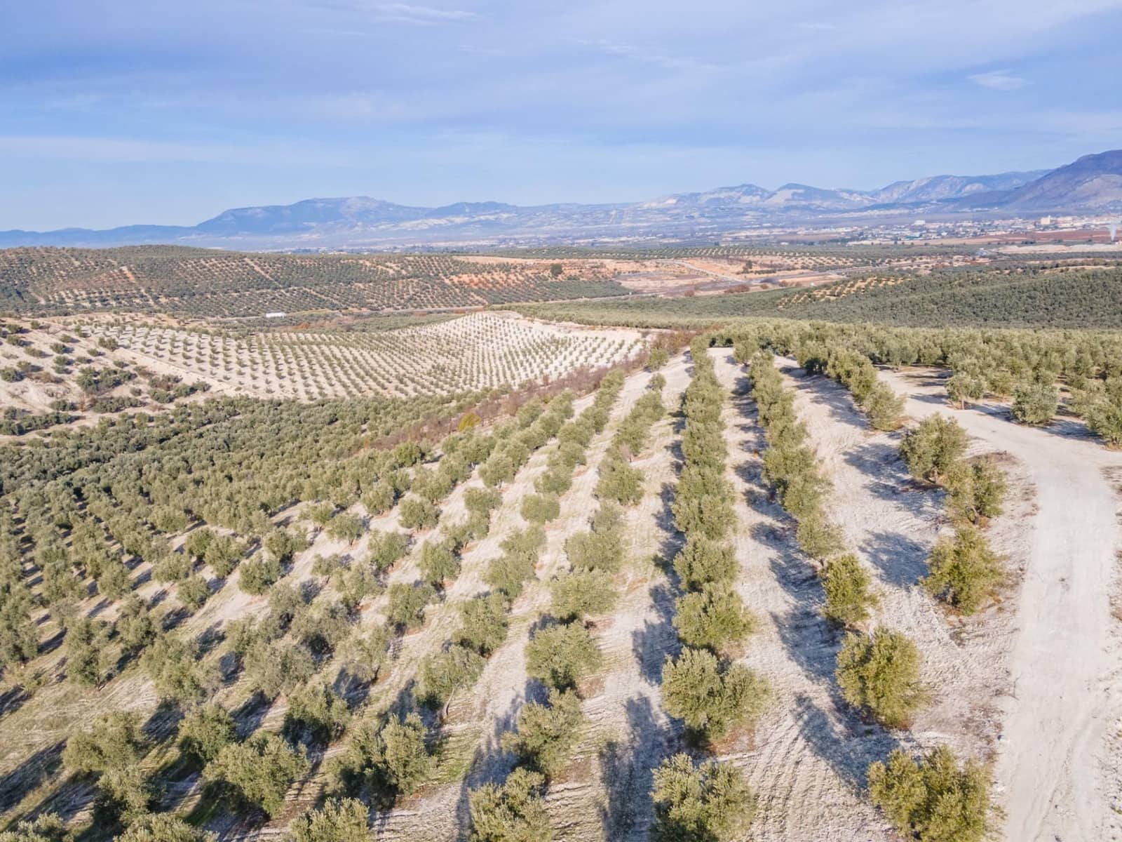 Działka budowlana na sprzedaż w Vegas del Genil - 95 000 € (Ref: 9534180)