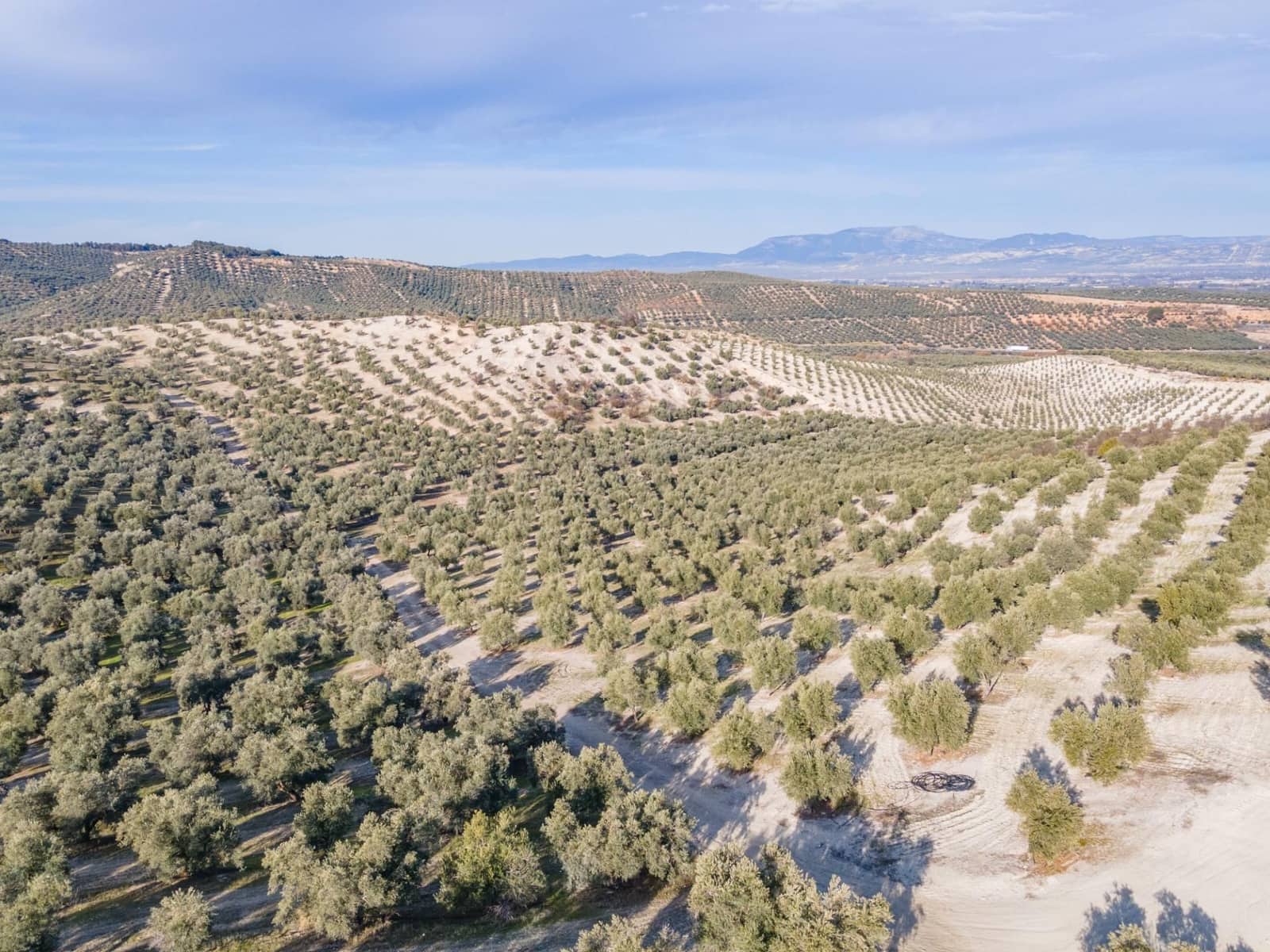 Działka budowlana na sprzedaż w Vegas del Genil - 95 000 € (Ref: 9534180)