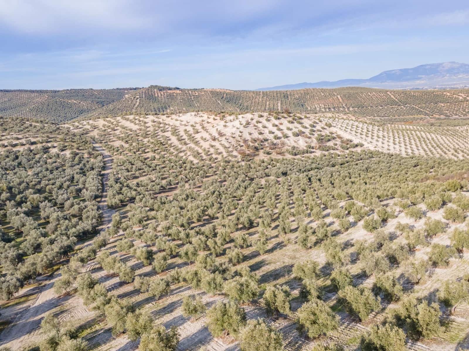 Działka budowlana na sprzedaż w Vegas del Genil - 95 000 € (Ref: 9534180)