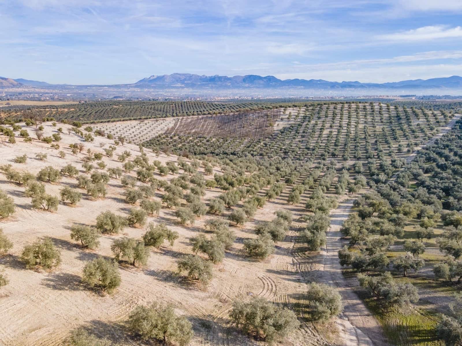 Działka budowlana na sprzedaż w Vegas del Genil - 95 000 € (Ref: 9534180)