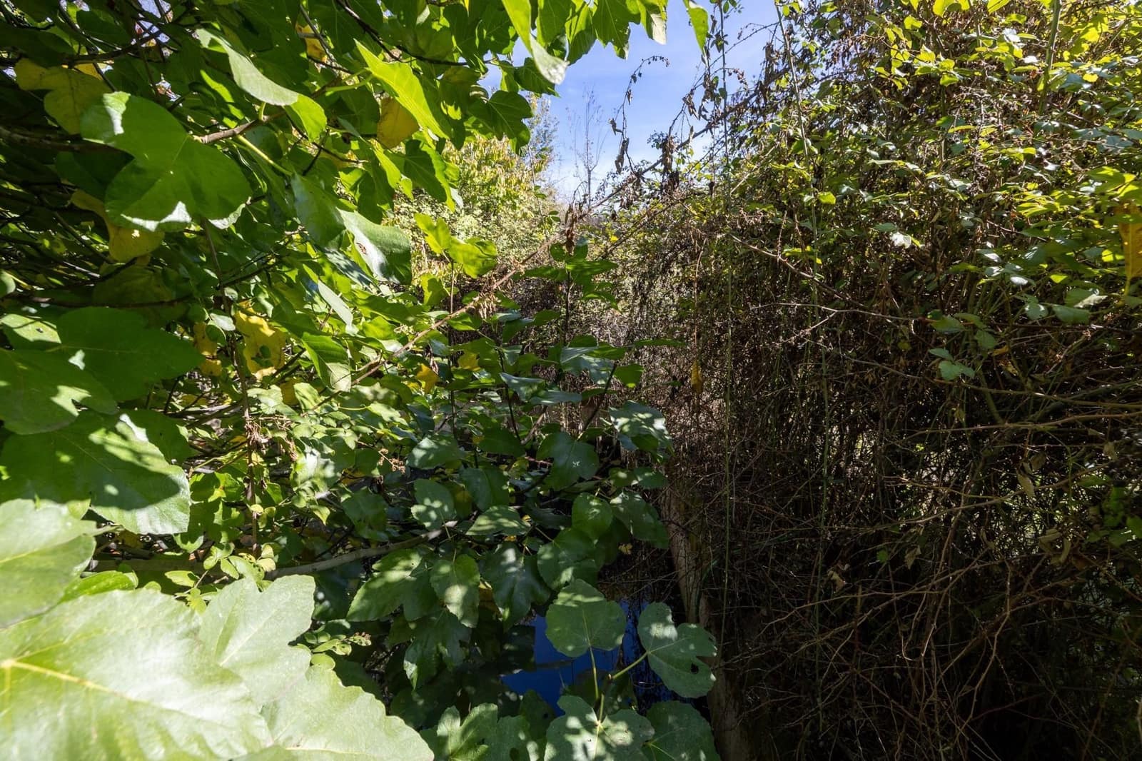 4 bedroom Townhouse for sale in La Taha - € 170,000 (Ref: 9534181)