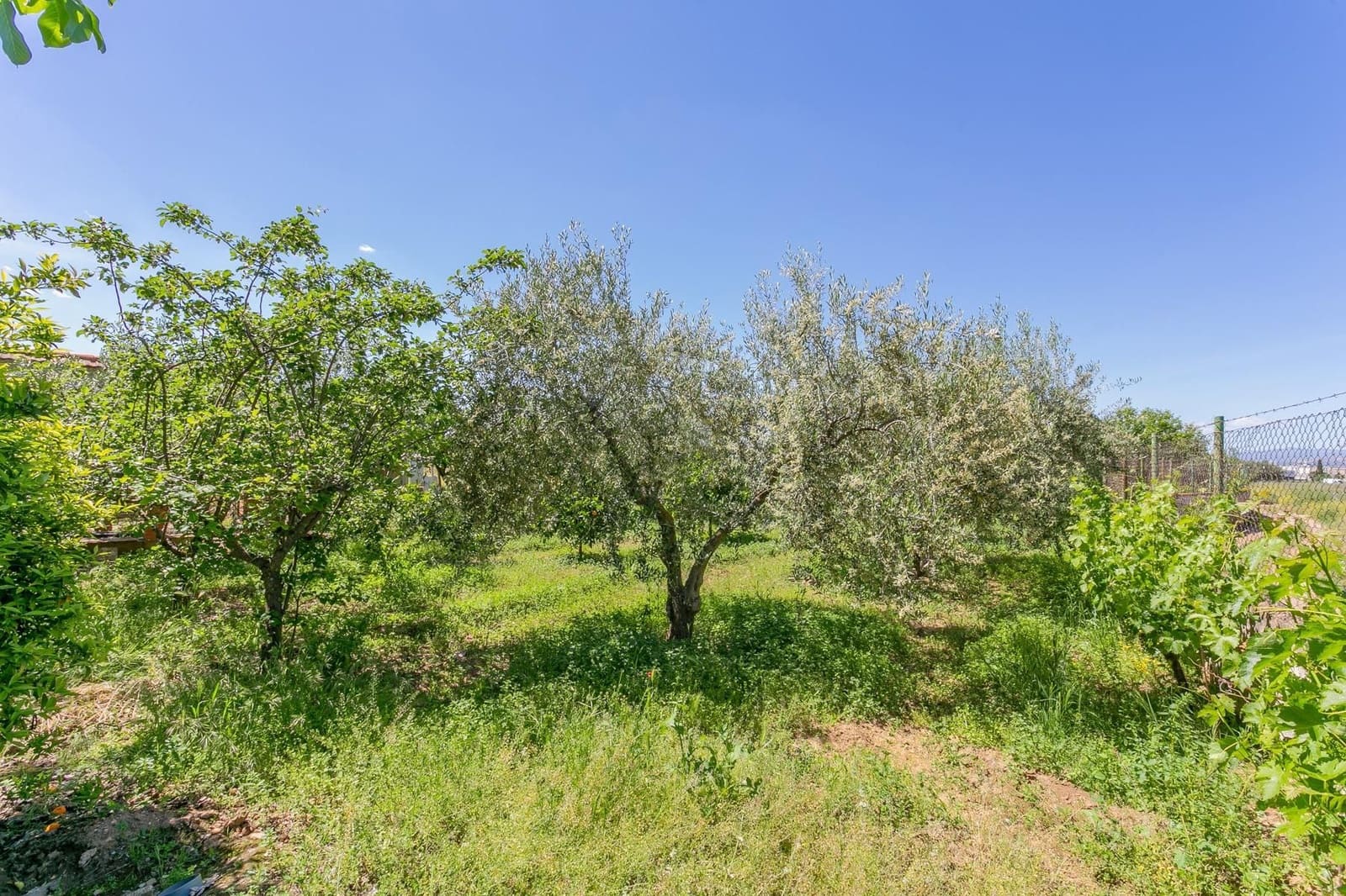 Terrain à Bâtir à vendre à Ogijares - 105 000 € (Ref: 9534198)